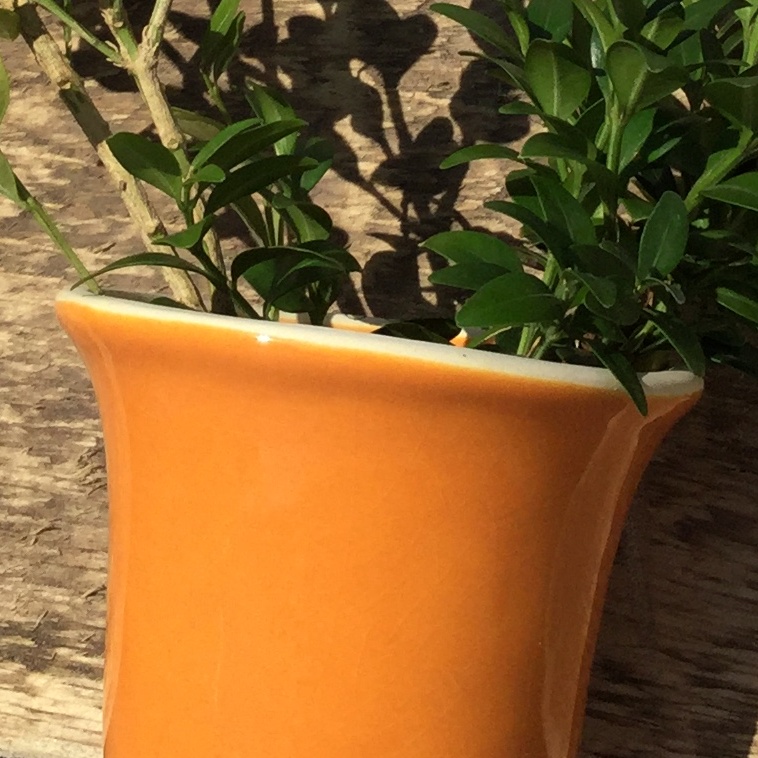 Glazura Botz 9486/800 ml kúrbisorange