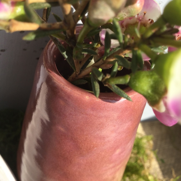 Glazura Botz 9530/800 ml rosa marmor